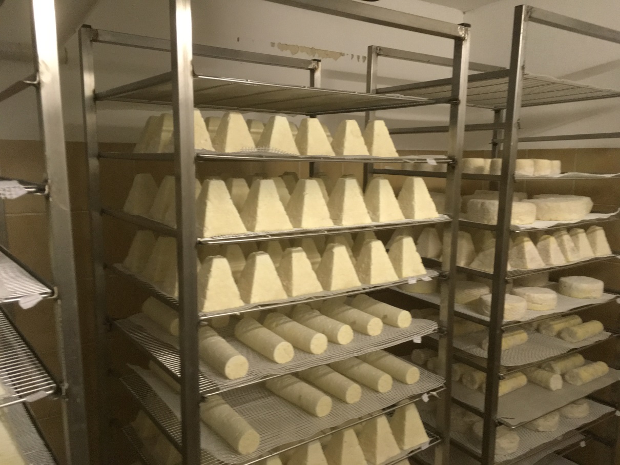des fromages produits sur la ferme de Nicolas avec du lait de chèvres