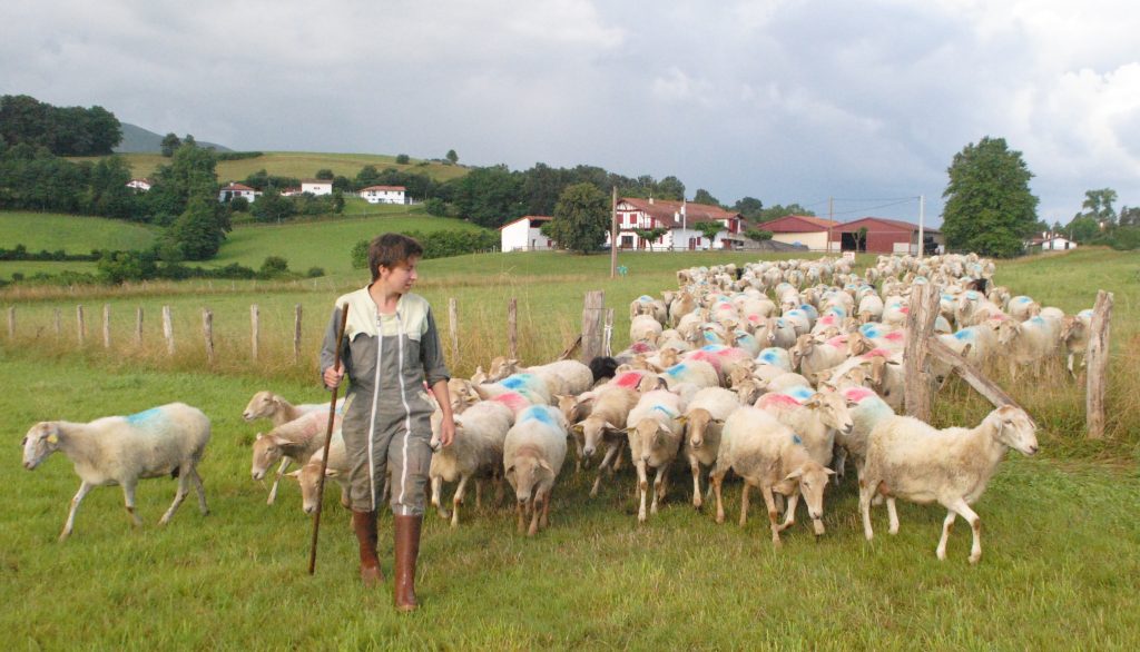 Marion éleveuse correspondante pour #devenireleveur